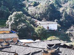 -杨家堂村
