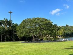 -深圳仙湖植物园