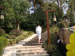 -天目湖涵田半山温泉