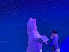 -大连圣亚海洋世界