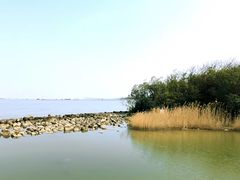 -上海吴淞炮台湾国家湿地公园