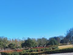 -径山花海