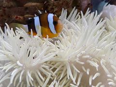 -太平洋海底世界