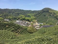 -国生茶庄·地道农家菜团建活动