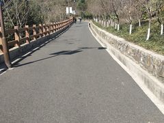 -杭州半山国家森林公园