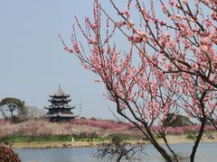 -上海海湾国家森林公园