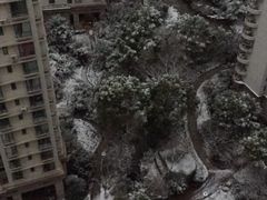 -新湖明珠城