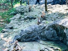-千岛湖东南湖区