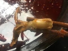-星鸿社重庆老火锅
