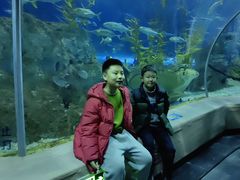 -芜湖新华联大白鲸海洋公园