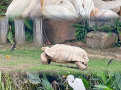-珠海长隆海洋王国
