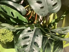 -施奈儿.洗头頭療.按摩SPA.采耳(上梅林店)