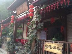 -牛背梁国家森林公园