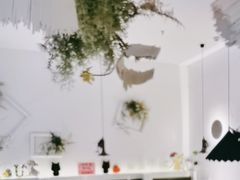 -春树下·树屋花房西餐厅(罍街AS1980店)