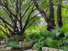 -东莞市可园博物馆