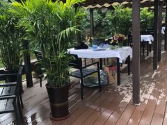 -紫悦咖餐厅(清控店)