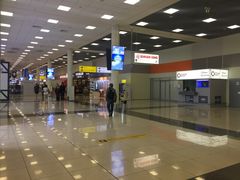 -谢列梅捷沃国际机场