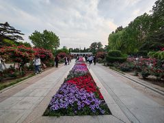 -睦南公园