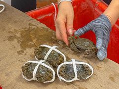 -阳澄湖大闸蟹·琼灵阁牌品牌连锁(吴中总店)