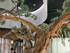 -绿茶餐厅(南翔印象城MEGA店)