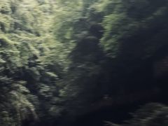 -南江大峡谷