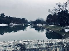 -尚贤河湿地