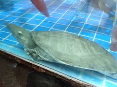 -客家汇·客家传承菜(水库店)