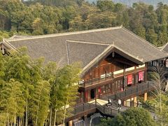 -大唐贡茶院