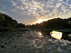-新江湾城公园