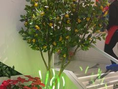 -Mezomd曼索蒂西班牙餐厅(广粤店)