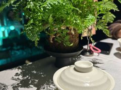 -阿强家川菜·29年老字号(岗顶店)