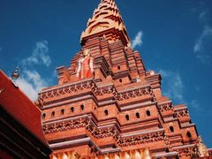 -西双版纳原始森林公园