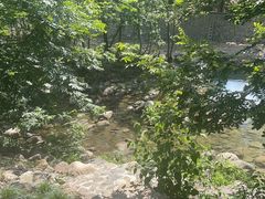 -Cafe In Little Forest