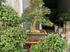 -金陵花卉交易市场