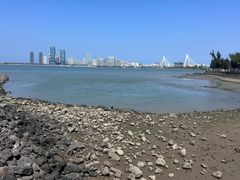 -万绿园