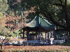 -申粤轩·手工点心·金牌烧味·经典粤菜(丁香花园店)