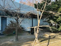 -成都动物园