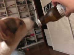 -清真·马文砂锅大全(麦苋街店)