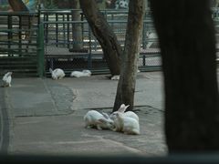 -柳州市动物园