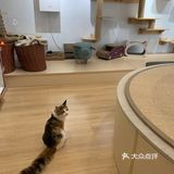 整体也比较干净，休息的座位比较多