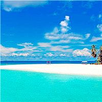 -薇兰专业脱毛连锁机构