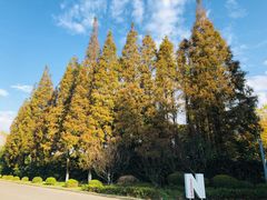 -太阳岛度假酒店