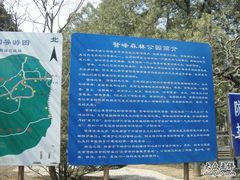 -北京鹫峰国家森林公园