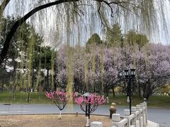 -钓鱼台国宾馆
