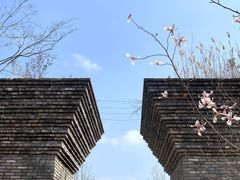 -广富林郊野公园