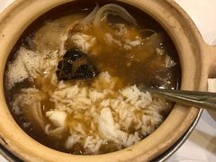 -大中鱼翅 Taitong Shark Fin