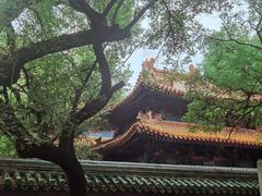 -北京国子监胡同