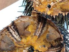 -海胆小馆(东北水饺·春柳店)