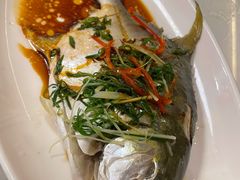 -日日香卤鹅饭店·澄海狮头鹅(澄海店)