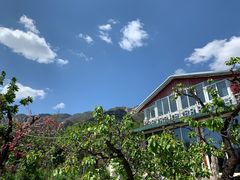 -闻道食府烙饼卷带鱼(原车耳营店原大觉寺店)